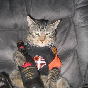 Meet your Posher, Thomas